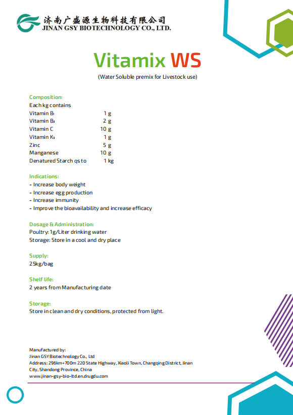 Vitamix WS