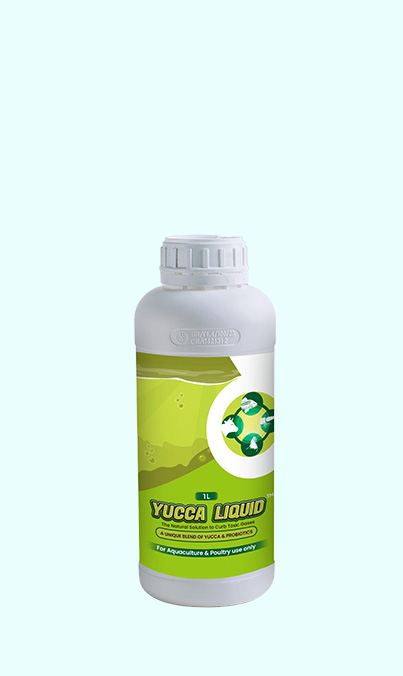YUCCA LIQUID