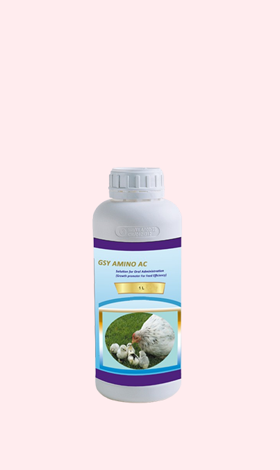 GSY- Amino AC
