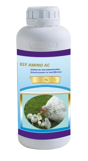 GSY- Amino AC