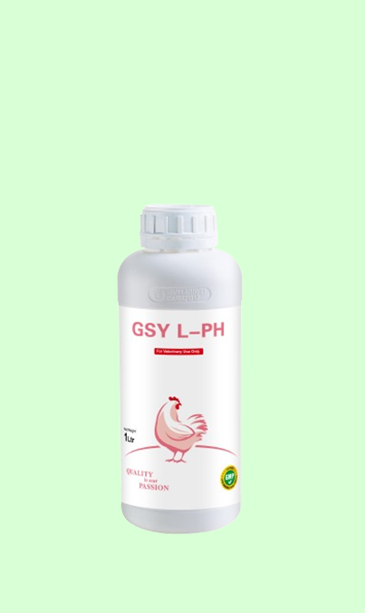 GSY L-PH
