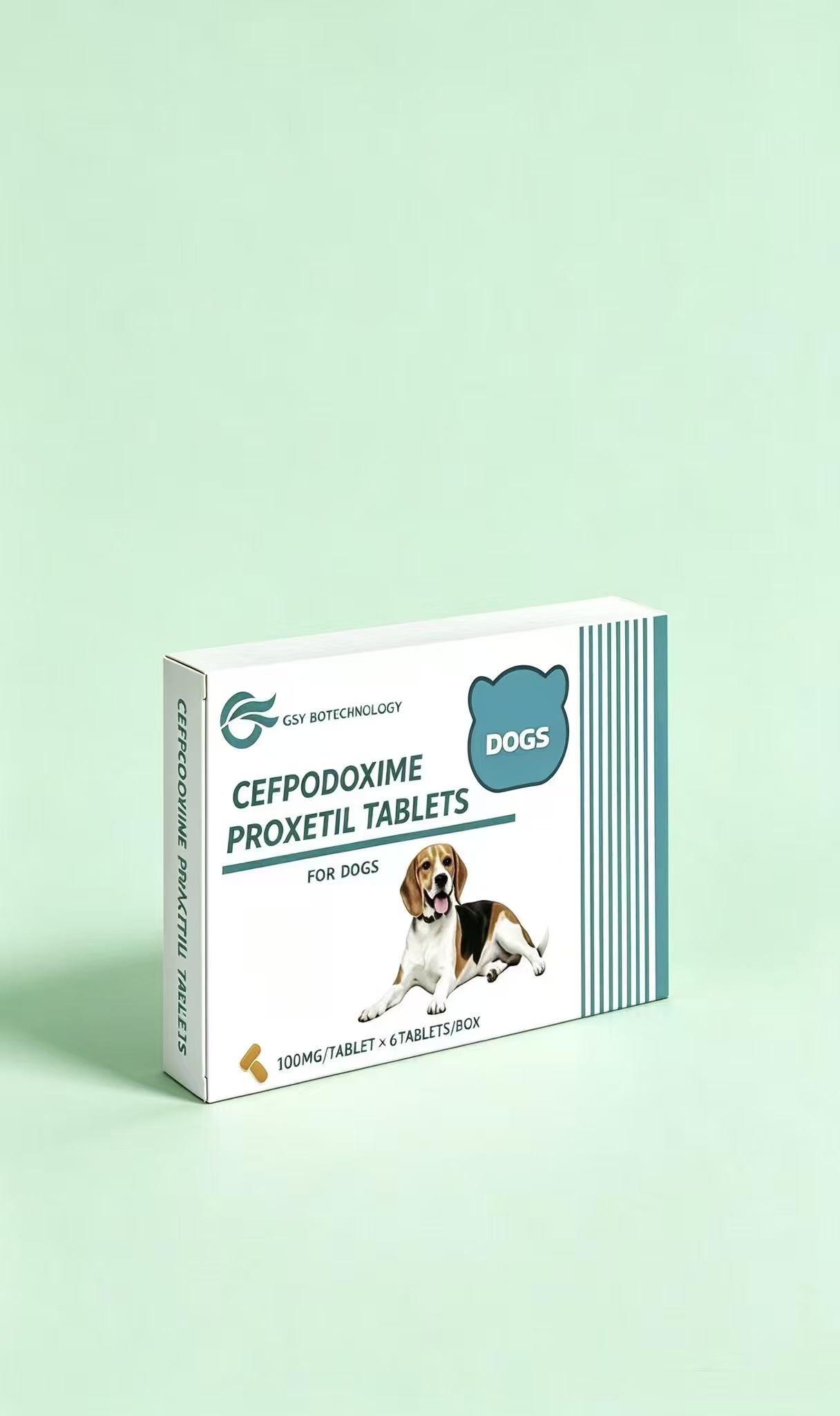 Cefpodoxime Proxetil Tablets
